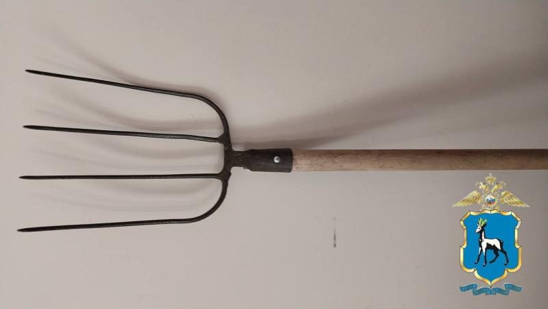 Не дал выкинуть траву: житель Самарской области грозился заколоть мужчину вилами