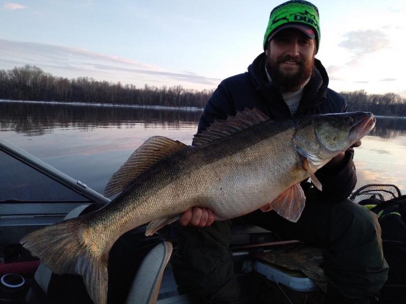 Рыбак из Тольятти выловил гигантского судака
