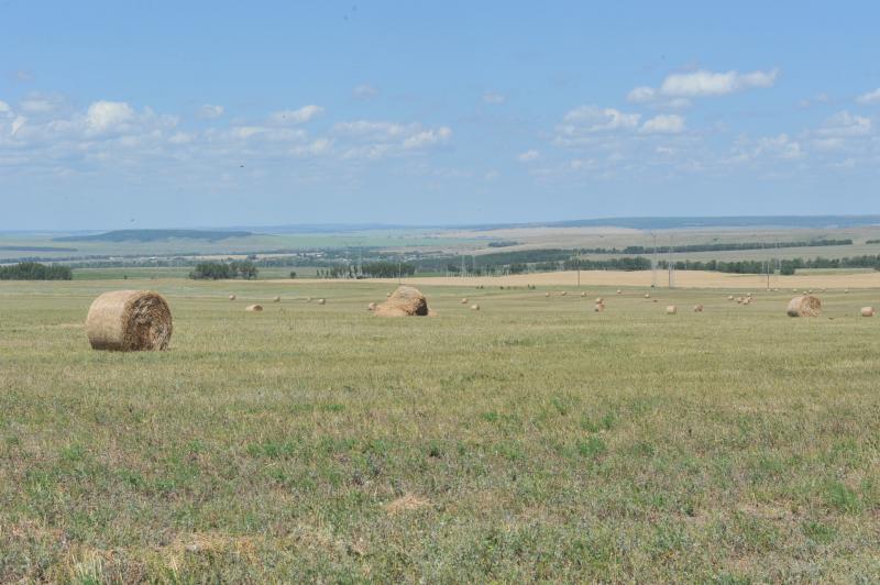 Тяжелая печать натурализма и смакование ужасов голода: к 135-летию со дня рождения Александра Неверова