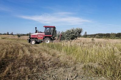 В Самарской области более 10 тысяч га неиспользуемой пашни отдадут под озимые