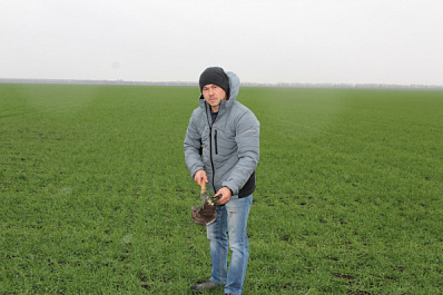 Cтавка на эффективность: современные технологии даже в засушливые годы помогают получать достойный урожай