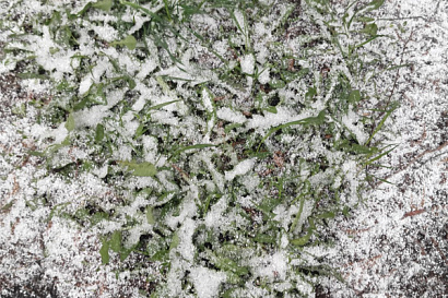 Название статьи