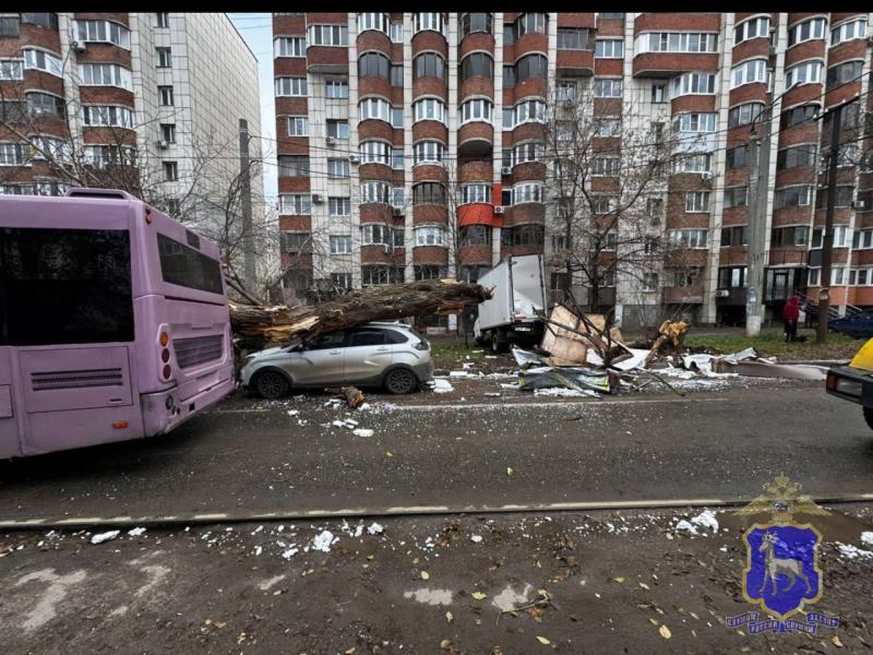 В Самаре автобус врезался в "Газель" и свалил дерево на легковушку
