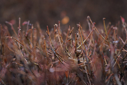Название статьи