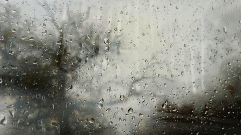 В Самарской области 30 апреля ожидаются дождь с грозой и порывистый ветер