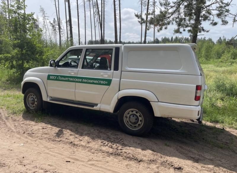 Для расчистки тольяттинских лесов приобретут новую технику