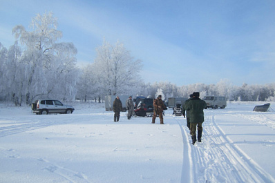 В Самарской области ищут убийц двух лосей