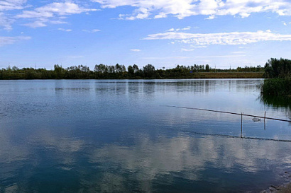 Название статьи