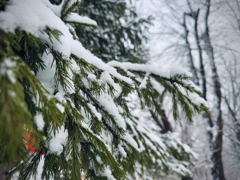 Погода на 5 февраля 2025 года: народные приметы и прогноз синоптиков