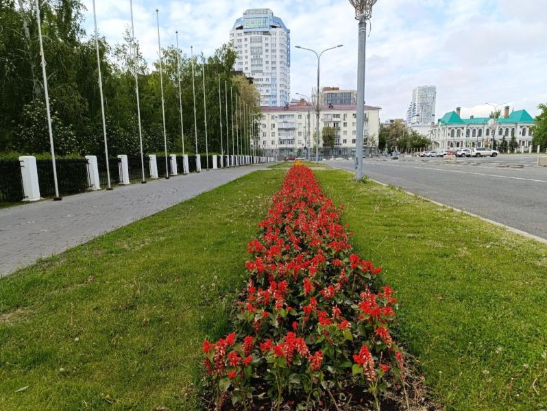 В Самаре на содержание цветов и зелени в общественных пространствах выделят более 530 млн рублей 