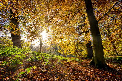 Начало октября в Самарской области побило температурный рекорд