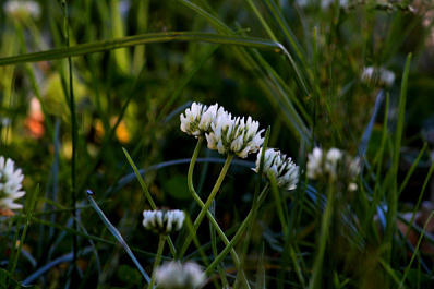 Народные приметы на 22 мая 2025 года: что нельзя делать в этот день