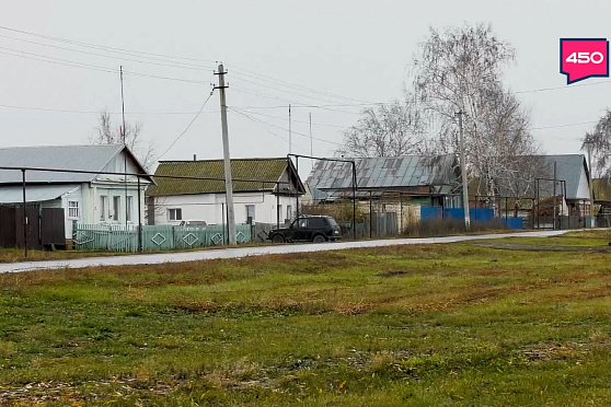 Васильевка. Пришельцы из города