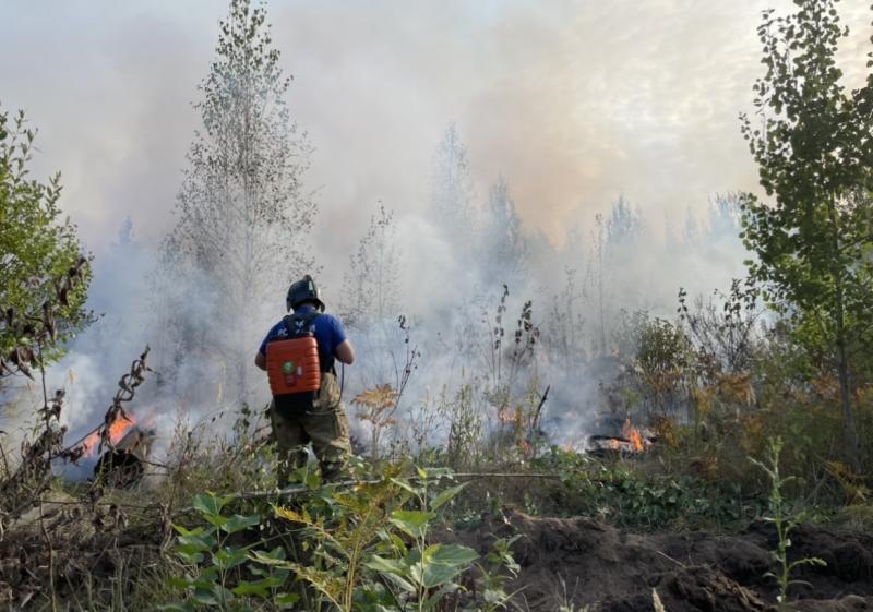 За выходные в Самарской области произошло 16 природных пожаров