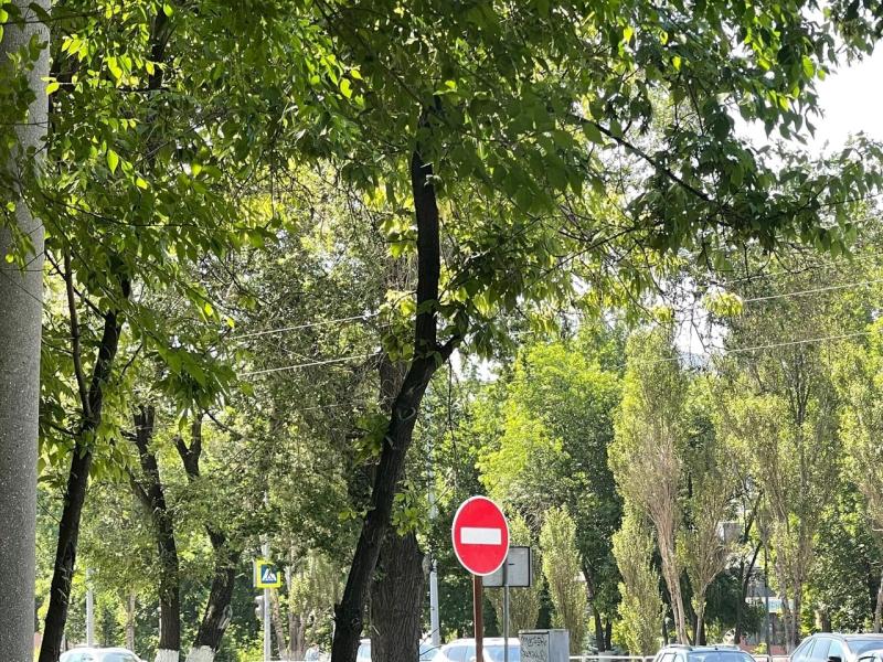 В центре Самары 4 ноября ограничат движение транспорта из-за Крестного хода