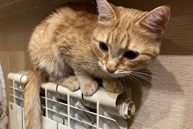 В Самаре заработала горячая линия по отоплению