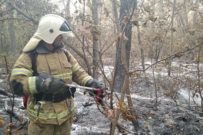Название статьи