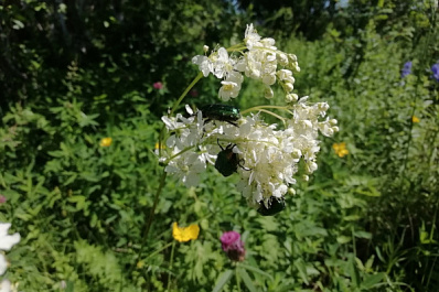 Жителей Тольятти приглашают освоить творческие способы фотосъемки