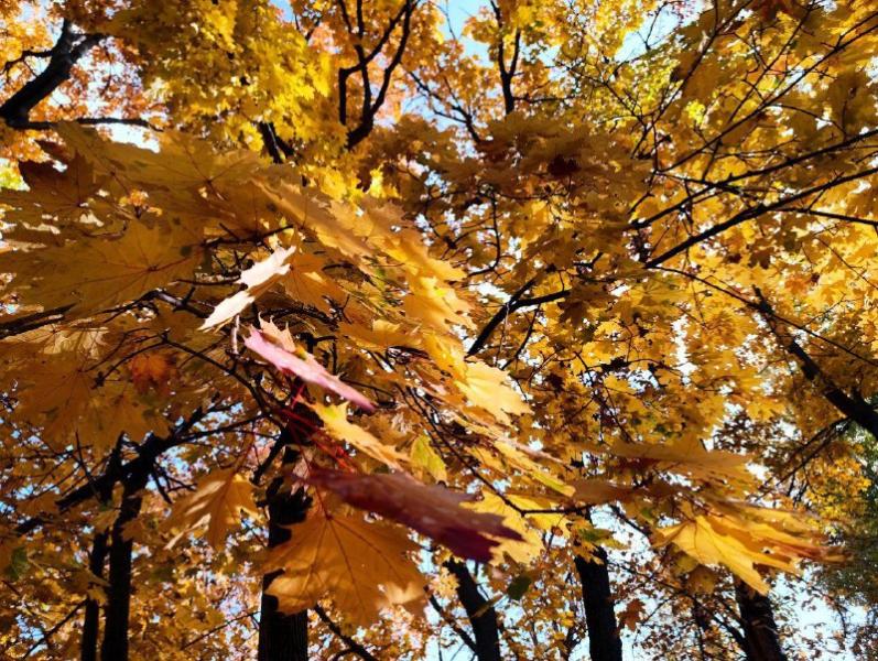 Народные приметы на 27 октября 2025 года: что нельзя делать в этот день