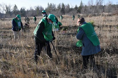 Название статьи