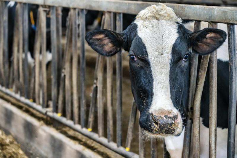 Народные приметы на 18 февраля 2025 года: что нельзя делать в этот день