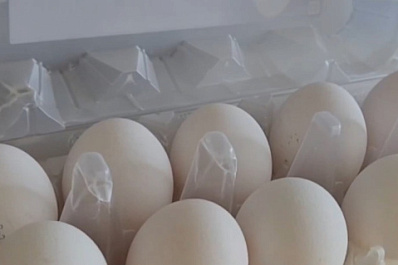 В Роспотребнадзоре рассказали, как выбрать яйца к Пасхе