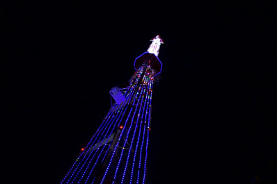 Самарская телебашня включит тематическую подсветку в День тигра