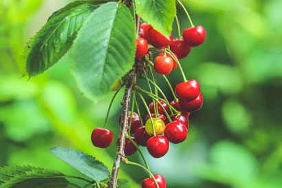 Название статьи