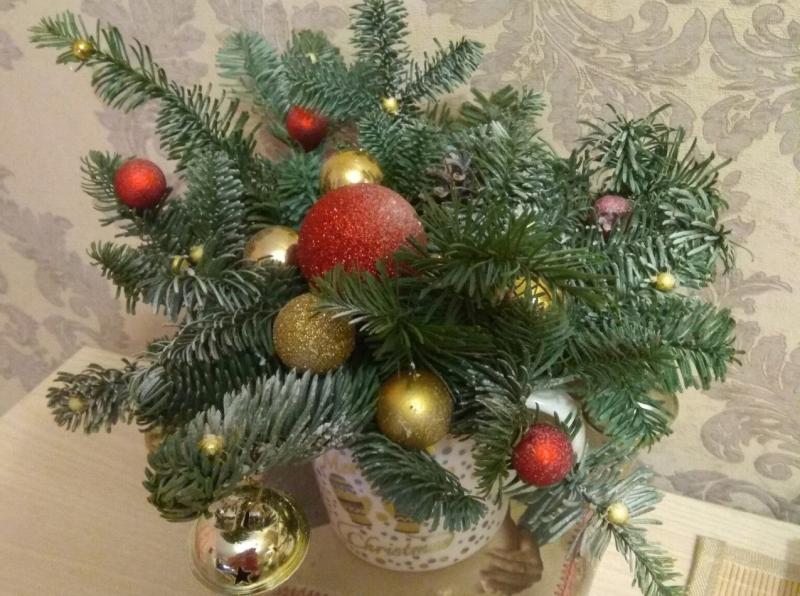 Участники семейного конкурса готовятся к праздникам и учатся действовать в экстренных ситуациях