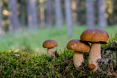 Название статьи