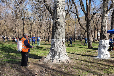 Участвуя в благоустройстве: самарцы вышли на общегородской субботник