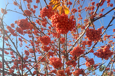 Народные приметы на 25 мая 2025 года: что нельзя делать в этот день