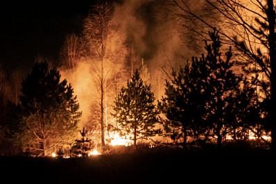 С заботой о природе: правда и мифы о лесных пожарах