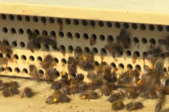 Школа здоровья 6.06.2014