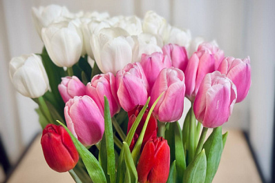 Цветы и конфеты: россияне рассказали, какие подарки готовят ко Дню учителя