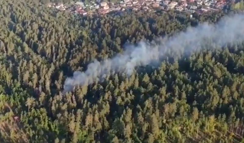 В Тольятти утром 1 сентября 2021 года дважды горел лес