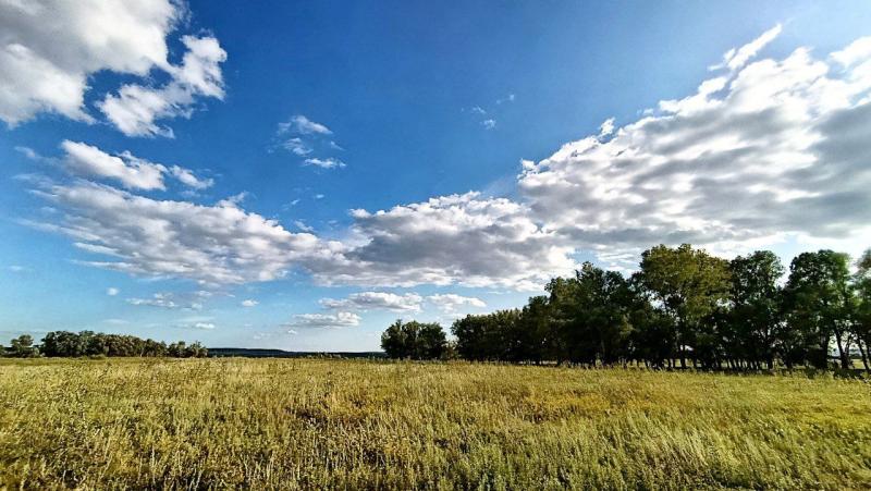 Стало известно, какая погода ждет Самарскую область на следующей неделе с 4 августа 