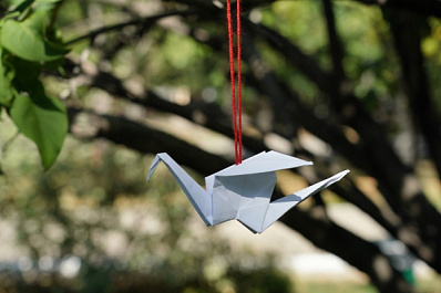 В Самарской области прошли мероприятия, посвященные Дню солидарности в борьбе с терроризмом