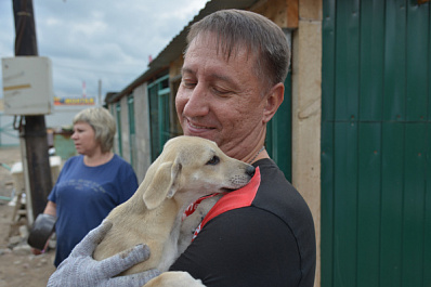 На фотовыставке в Самаре собаки из приюта обрели хозяев