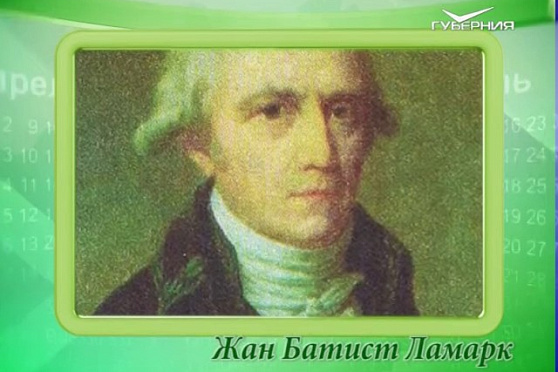 Календарь губернии 01.08.2017