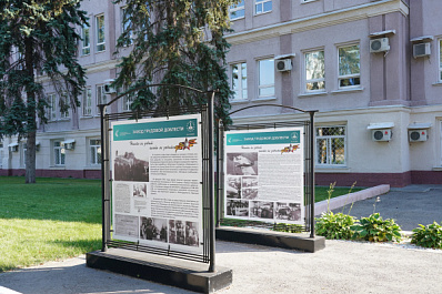 Куликовых поле: история семьи, посвятившей жизнь укреплению обороноспособности страны