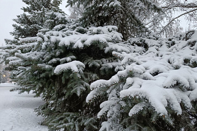31 декабря в Самарской области будет бушевать метель