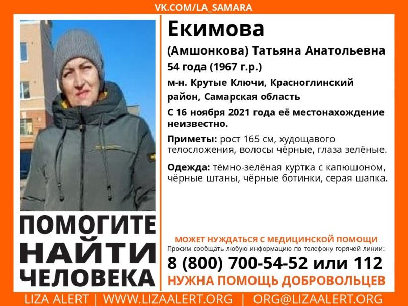 В Самарской области волонтеры отправились на поиски 54-летней женщины