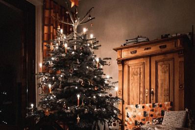 Ведро с песком и сертификат: как безопасно установить новогоднюю ёлку дома