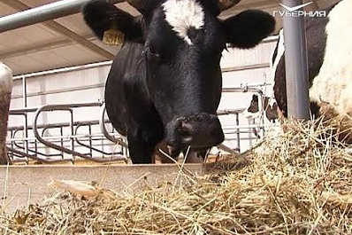 В Кошкинском районе депутаты губдумы проверили ход реализации нацпроектов