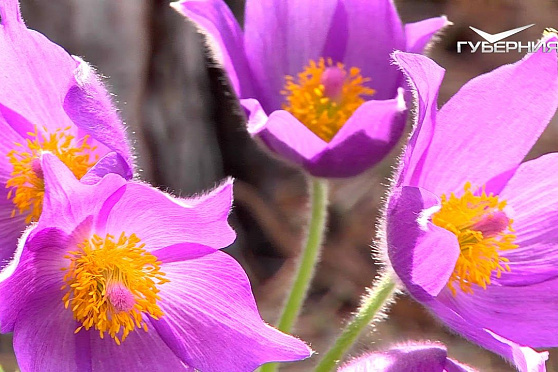 Каким увидят город и область гости ЧМ-2018. Часть I. Губерния на высоте