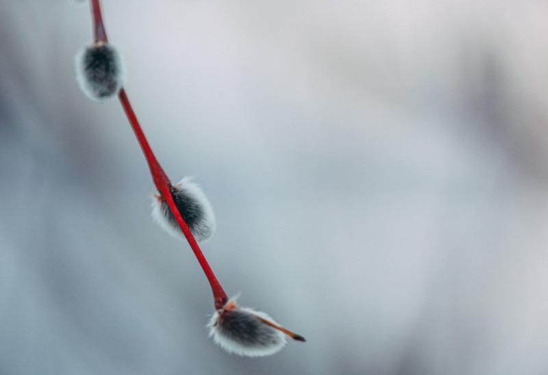 Народные приметы на 21 марта 2025 года: что нельзя делать в этот день