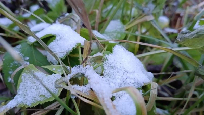 Погода на 13 сентября 2025 года: народные приметы и прогноз синоптиков