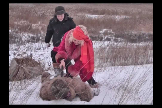 Дачные советы 10.01.2013