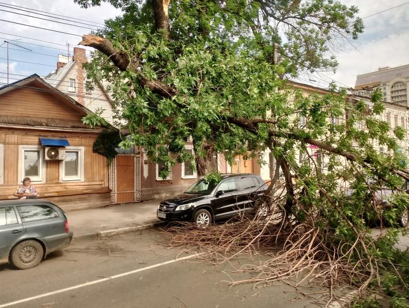 Движение встало: 13 июня в историческом центре Самары упало дерево